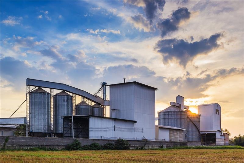 Industrial generator installation with acoustic canopy